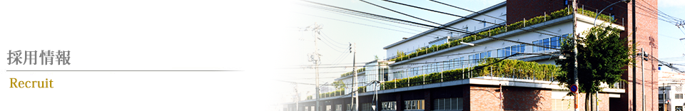 採用情報