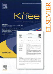 The Knee(表紙）